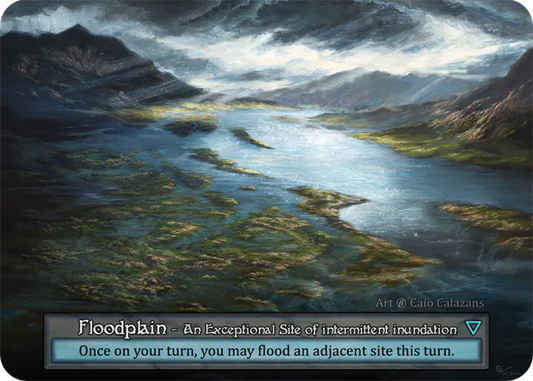 Floodplain - Beta* - NM